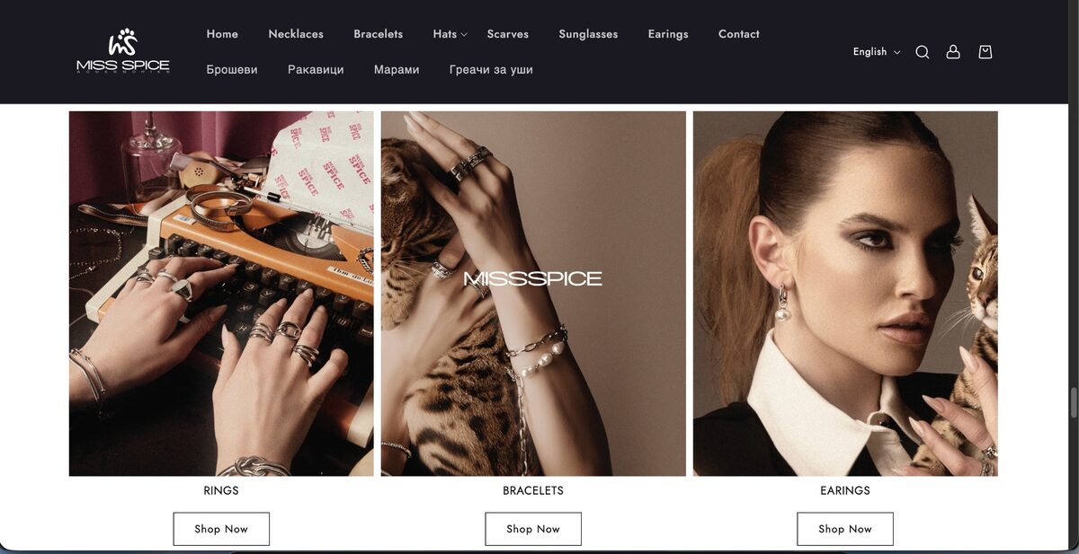 Mis Spice website preview